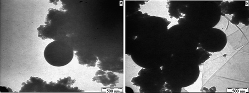 (a–b) Transmission electron micrographs of Ru/Ce-RHS-B.