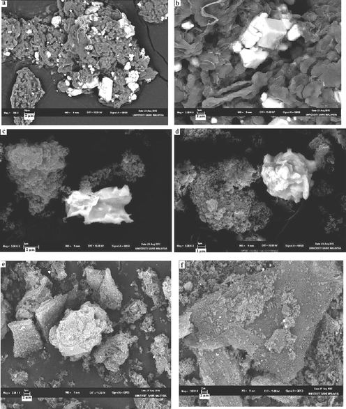 (a–b) Scanning electron micrographs of Ru/Nanoclay. (c–d) Scanning electron micrographs of Ru/Ce-RHS-B. (e–f) Scanning electron micrographs of Ru-Ce-RHS-C.
