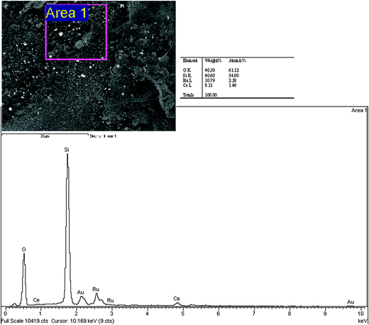 SEM-EDX of Ru-Ce/RHS-C.