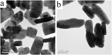 
          TEM images of the as-prepared CuO nanorods at different magnifications: (a) a lower magnification and (b) a higher magnification.