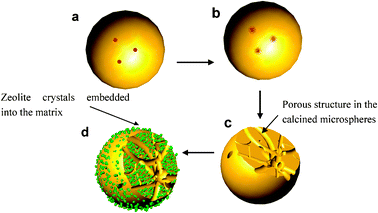 Formation process of pores and Y-faujasite crystals in a microsphere. (a) a spray drying microsphere containing porosity enlarging agent (PEA), (b) the PEA evolved CO2 upon calcination at a high temperature, (c) the evolved CO2 enlarged the total porosity of the calcined microsphere, (d) Y faujasite crystals generated in the walls of the in situ crystallized microsphere.