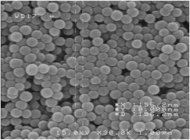 
          SEM image of silica NPs.