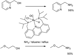 Primary amine synthesis by N-alkylation of alcohols.26