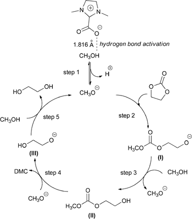 Proposed mechanism for DMC formation.