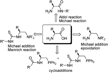 Representative organocatalysts derived from simple acyclic α-amino acids discussed in this perspective.