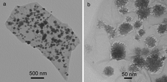 
          TEM images of CuONF/rGO nanocomposites.
