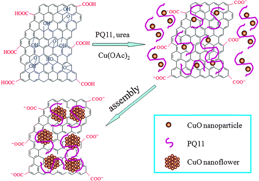 A scheme (not to scale) to illustrate the formation of CuONF/rGO nanocomposites from GO and Cu salts by a one-pot heat treatment method.