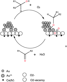 Proposed mechanism for aerobic oxidation on Au/CeO2 catalyst.