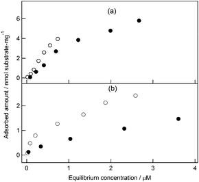 Adsorption of CBM3a (open circles) and CBM4 (closed circles) on 1 mg ml−1 PSC (a) and 1 mg ml−1 avicel (b) in 50 mM MES buffer solution (pH 6.0, 10 mM CaCl2).