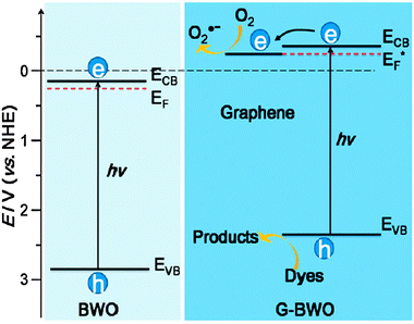 Photocatalytic scheme of Bi2WO6 (BWO) and graphene/Bi2WO6 (G-BWO) composite.108