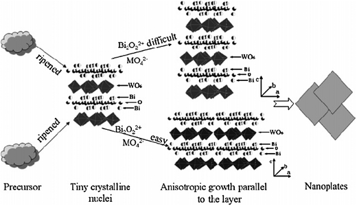 Growth mechanism of the nanoplates.24