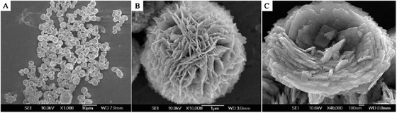 SEM images of flower-like Bi2WO6 superstructures.49