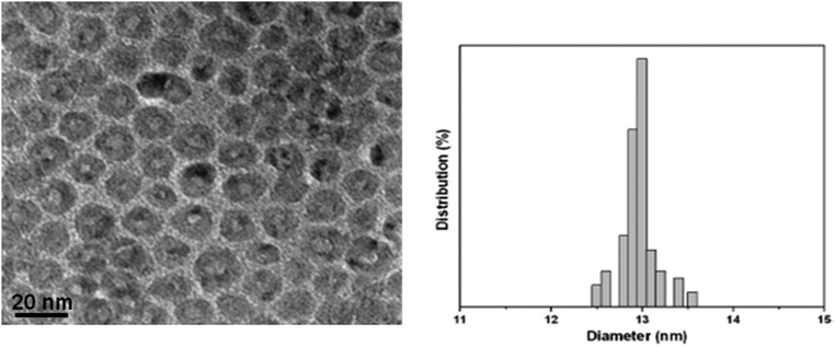 HRTEM image and particle size distribution of the as-prepared Cu@Mn3O4 nanoparticles. Mean size: 13 nm with a standard deviation of 0.35 nm.