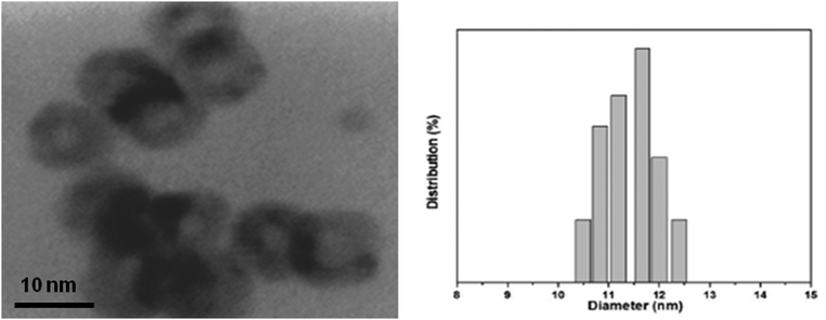 HRTEM image and particle size distribution of the as-prepared Cu@Co3O4 nanoparticles. Mean size: 11.4 nm with a standard deviation of 0.73 nm.