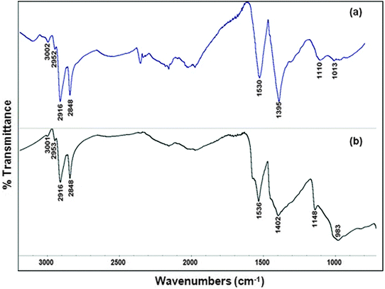 
            Ex situ FTIR spectra of the as-prepared nanoparticles in the 700–3200 cm−1 region: (a) Cu@Mn3O4 and (b) Cu@Co3O4 nanoparticles.