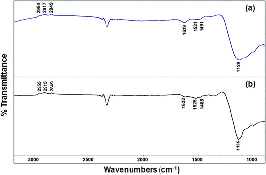 
            Ex situ FTIR spectra of the O2-treated (ligand-free) nanoparticles: (a) Cu@Mn3O4 and (b) Cu@Co3O4 nanoparticles.