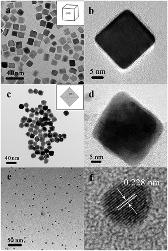 TEM and HRTEM images of Pd nanocrystals with the shape of cube (a, b), octahedron (c, d), and sphere (e, f). The insets show the corresponding representative sketches of the typical shapes.