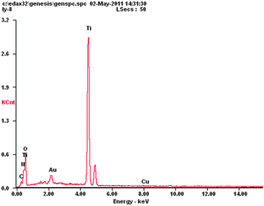 EDS spectrum of the 2c–TiO2 composite.