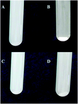 Illustration for 2b–TiO2 photocatalyst (A, C), 2c–TiO2 photocatalyst (B, D) (upper: before irradiation; down: after irradiation).
