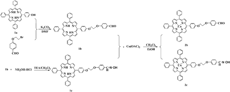 Synthesis of the porphyrins (1b,1c) and copper(ii) porphyrins CuPp (2b,2c).