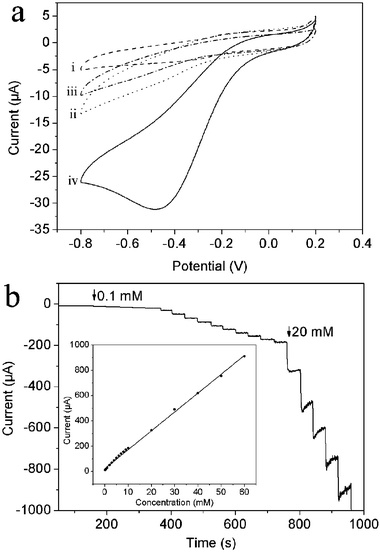 (a) Cyclic voltammograms of (i) bare GCE, (ii) PANICSs/GCE, (iii) AgNPs–PANICSs/GCE in N2-saturated 0.2 M PBS at pH 6.5 in the absence (iii) and presence (iv) of 1 mM H2O2 (scan rate: 50 mV s−1). (b) Typical steady-state response of the AgNPs–PANICSs/GCE to successive injection of H2O2 into the stirred N2-saturated 0.2 M PBS at pH 6.5. Inset: the corresponding calibration curve (applied potential: –0.3 V).