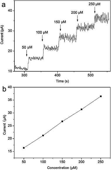 (a) The typical steady-state response of the CuO/GCE to successive injection of 50 μM glucose into the air-saturated 0.1 M NaOH solution containing 1.5 mL of blood serum under stirring and (b) the corresponding calibration curve (applied potential: +0.55 V).