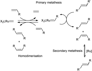 Secondary metathesis mechanism.