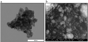 (a) TEM image of MgO–ZrO2 at 100 nm. (b) SEM image MgO–ZrO2 at 1 μm.70b