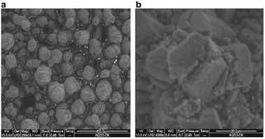 Scanning electron micrograph of Al2O3–OK at 400 μm (left) and scanning electron micrograph of Al2O3–OK at 20 μm (right).26