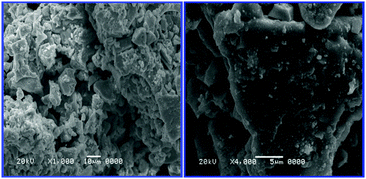 Scanning electron micrograph of PIZP at 10 μm and 5 μm.