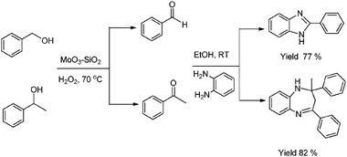 Sequential oxidation and condensation for synthesis of benzimidazole and benzodiazepine over MoO3–SiO2.