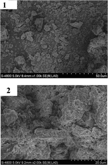 SEM images of 1c (1) and 5c (2).