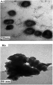 TEM photograph of 1c (A) and the heterogeneous catalyst 5c (B).