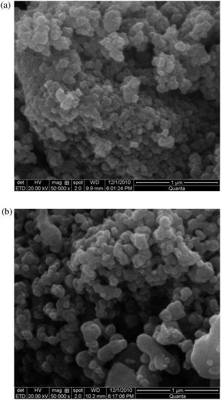 SEM micrographs of x = 0.0 (a) and x = 1.0 (b) samples.