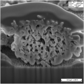 Cross-sectional SEM photo of the TiO2 sphere after hydrothermal post-treatment with 2.0 ml ammonia being used.