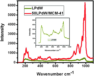 Raman spectroscopy of LPdW and 50LPdW/MCM-41.