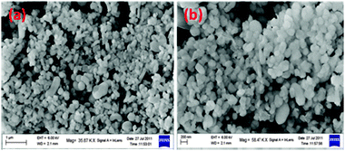 Scanning electron micrographs of different resolution of 50LPdW/MCM-41.