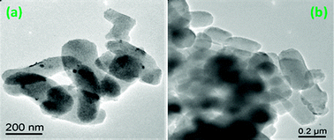 TEM of 50LPdW/MCM-41.