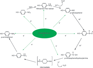 Mechanism of hydrogenation of p-nitrophenol to p-aminophenol.