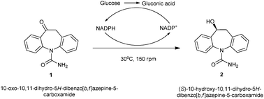 Reduction of the ketone to an alcohol.