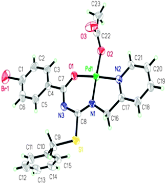X-Ray structure of Pd(ii) complex 3c. Displacement ellipsoids are drawn at the 30% probability level and H atoms are shown as small spheres of arbitrary radius.