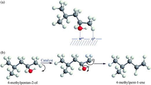 (a) Adsorption of 4-methylpentan-2-ol over catalyst surface. (b) Proposed mechanism for 4-methylpent-1-ene production.