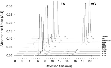 An overlay of chromatograms obtained from HPLC analysis of enzymatic transformations of ferulic acid (FA) to vinyl guaicol (VG) by WT BsPAD and point mutants.
