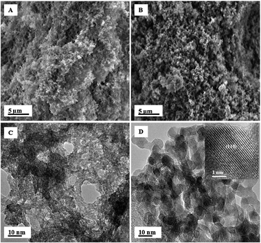 
          (A) SEM image of as-synthesized aerogel (B) SEM image of the annealed sample (C) TEM image of as-synthesized aerogel (D) TEM image of the annealed sample with corresponding high resolution TEM image inset.