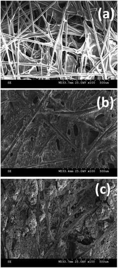 SEM pictures of CP (a), NiCP (b) and TNiCP (c) electrodes before biofilm formation.