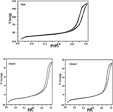 N2-adsorption–desorption isotherms for hydroxyapatite and zinc catalysts.
