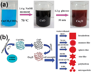 (a) The color change of the solution during the synthesis process of Cu2O (S2); (b) Illustration of the formation mechanism of the Cu2O microparticles with different morphologies.