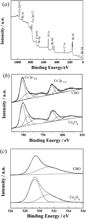 (a) Wide survey XPS spectrum of the CBO catalyst. (b) Co 2p and (c) O1s envelopes (and their deconvolution) for CBO and Co3O4 catalysts.