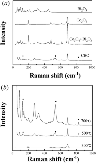 (a) FT-Raman spectra of CBO, Co3O4, Bi2O3, and Co3O4–Bi2O3 mixture. (b) FT-Raman spectra of CBO catalysts calcined at different temperatures.