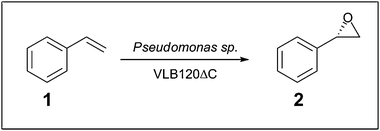 
          Pseudomonas catalysed biotransformation of (S)-styrene oxide (2) from styrene (1).18